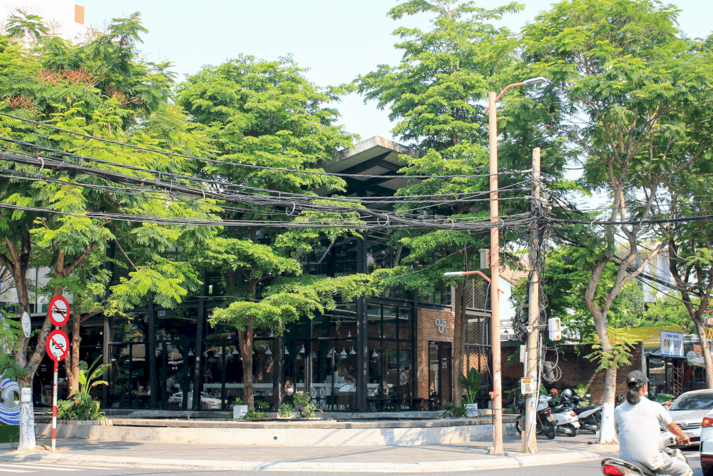 XLIII Specialty Coffee space is simple but very attractive, the sophisticated black and white color combined with green trees creates elegance (Source: XLIII Coffee)